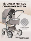Коляска-трансформер Farfello Aimile Original Autumn 2 в 1 Cosmic Latte