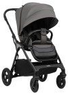 Коляска прогулочная Aimile Aster Dark grey