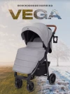 Коляска прогулочная Rant Vega RA057 Grey