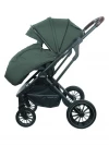 Коляска 2 в 1 Indigo Carry зеленый