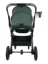 Коляска 2 в 1 Indigo Carry зеленый