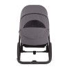 Коляска 2 в 1 Moon Style Anthrazit RU544