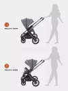 Коляска 3 в 1 Rant Falcon RA098 Grey