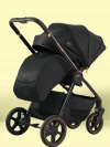 Коляска 2 в 1 Ining Baby 773 F Black