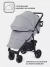 Коляска прогулочная Rant Vega RA105 2024 grey