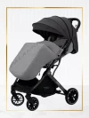 Коляска прогулочная Palankin Teo серый