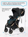 Коляска прогулочная Luxmom T2 черный