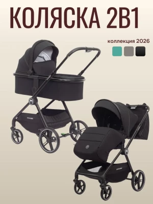 Коляска 2 в 1 Ining Baby Z1-X PRO black