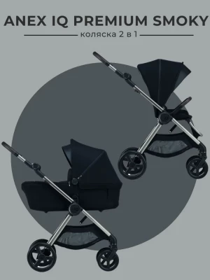 Коляска 2 в 1 Anex iQ Premium (iQ-06-NT) Smoky