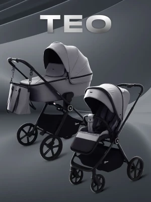 Коляска 2 в 1 Rant Teo RA120 Grey - фото 1