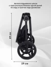 Коляска 2 в 1 Rant Teo RA122 Black