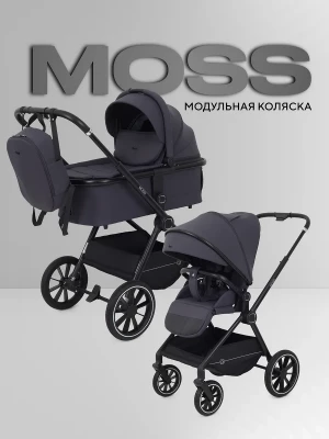 Коляска 2 в 1 Rant Moss RA321 Graphite - фото 1