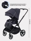 Коляска прогулочная Rant Moss RA323 Graphite