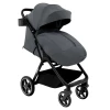 Коляска прогулочная Pituso Camino Graphite