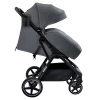 Коляска прогулочная Pituso Camino Graphite