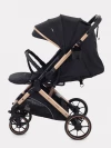 Коляска прогулочная Rant Basic Vortex RA304 Black