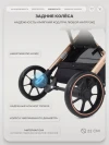 Коляска прогулочная Rant Basic Vortex RA304 Black