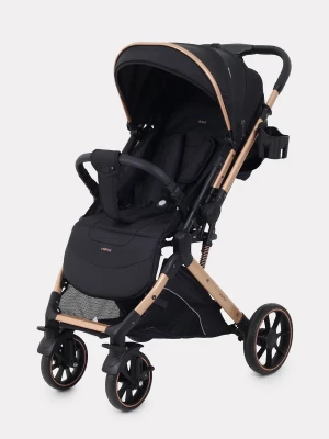 Коляска прогулочная Rant Basic Vortex RA304 Black