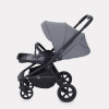 Коляска прогулочная Rant Flex RA078 Grey