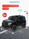 Электромобиль Farfello TR117 черный