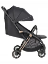 Коляска прогулочная Costa Rio Black gold