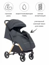 Коляска прогулочная Carrello Cross CRL-5523 Eagle Grey