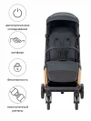 Коляска прогулочная Carrello Cross CRL-5523 Eagle Grey