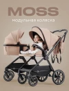 Коляска 2 в 1 Rant Moss RA321 Beige