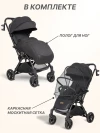 Коляска прогулочная Farfello Magic black