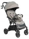 Коляска прогулочная Farfello Magic Grey