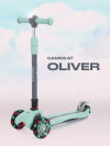 Самокат 3-х колесный MOWBaby Oliver MC030 green