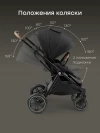 Коляска прогулочная Happy Baby Luna 360 black