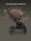 Коляска прогулочная Happy Baby Luna 360 dark brown