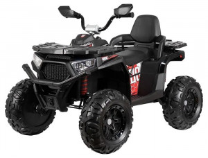 Электроквадроцикл Farfello TR124 Черный