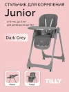 Стул для кормления BABY TILLY Junior T-671 Dark Grey