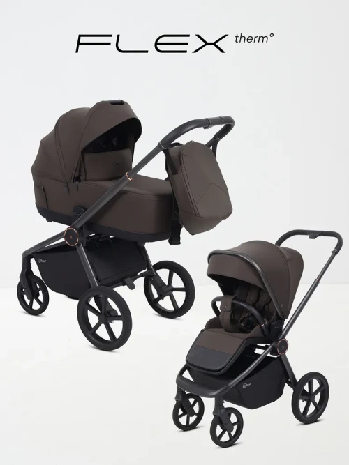Коляска 2 в 1 Rant Flex Therm RA112 Shine Brown