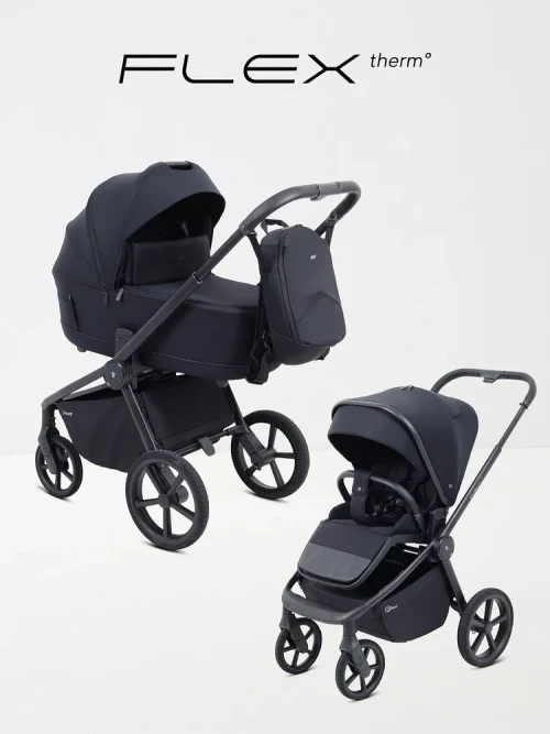 Коляска 2 в 1 Rant Flex Therm RA112 Midnight Black