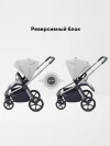 Коляска 2 в 1 Rant Flex Therm RA112 Stone Grey