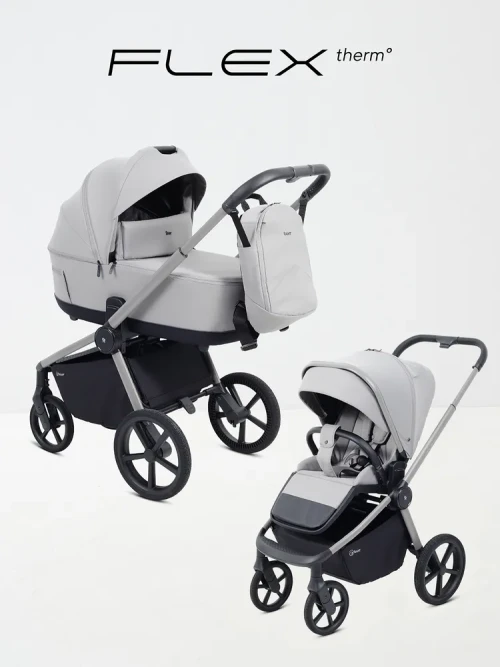 Коляска 2 в 1 Rant Flex Therm RA112 Stone Grey