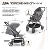 Коляска прогулочная Twistshake Tour Grey