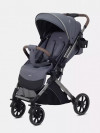 Коляска прогулочная Rant Basic Vortex RA304 Titan
