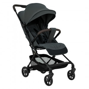 Коляска прогулочная Pituso Q3 PU Oliva Grigio