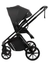 Коляска 3 в 1 Indigo Sting черный