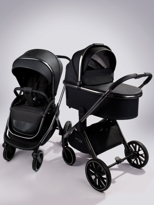 Коляска 2 в 1 Amarobaby Motus Premium Ecco черный