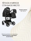 Коляска-трансформер Farfello Aimile Adventurer ADV-11 Черный