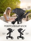 Коляска-трансформер Farfello Aimile Adventurer ADV-11 Черный