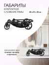 Коляска-трансформер Farfello Aimile Adventurer ADV-11 Черный