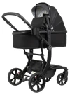 Коляска-трансформер Farfello Aimile Adventurer ADV-11 Черный