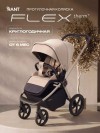 Коляска прогулочная Rant Flex Color RA118 Sandy Beige