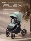 Коляска прогулочная Rant Flex Color RA118 Forest Green